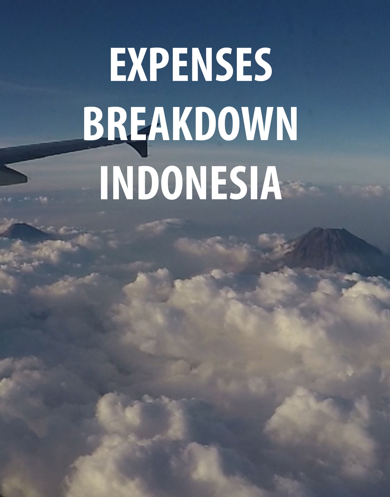 expenses indonesia.jpg