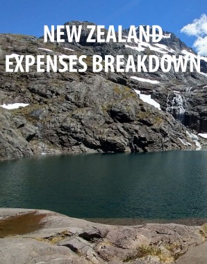 nz expenses.jpg